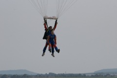 SONY DSC